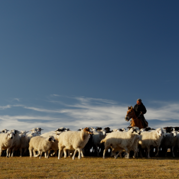 О ресторане 3